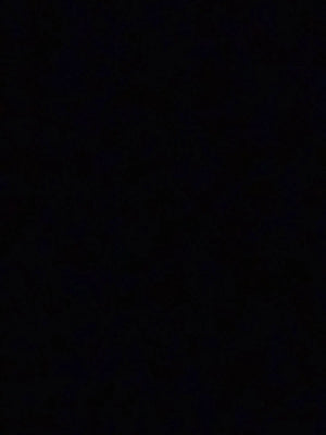 Ae779e1c0827f4da98535e8458aa7d4d8L.jpg